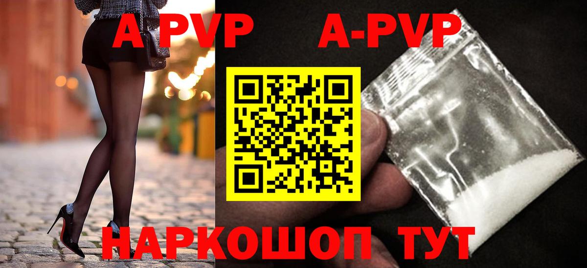 Альфа ПВП СК КРИС Майкоп
