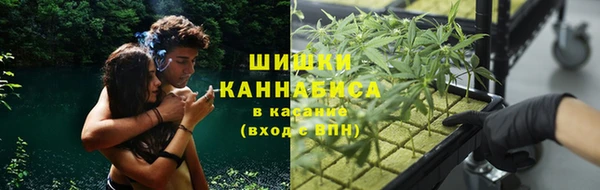 PSILOCYBIN Нея