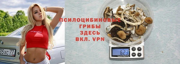 PSILOCYBIN Нея