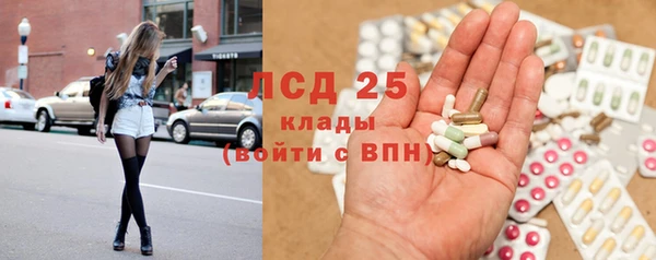 прущие грибы Нефтекумск