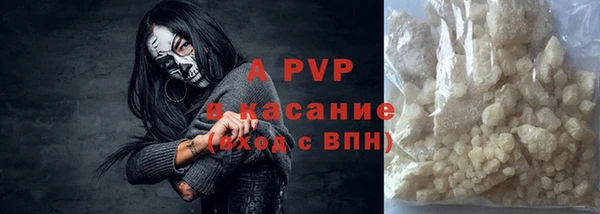 прущие грибы Нефтекумск