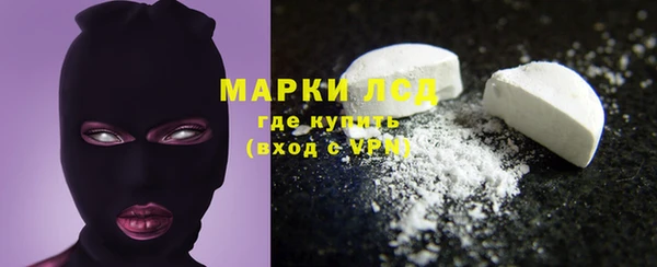 прущие грибы Нефтекумск