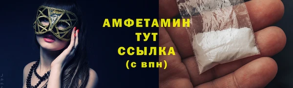 прущие грибы Нефтекумск