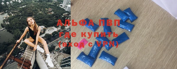 прущие грибы Нефтекумск