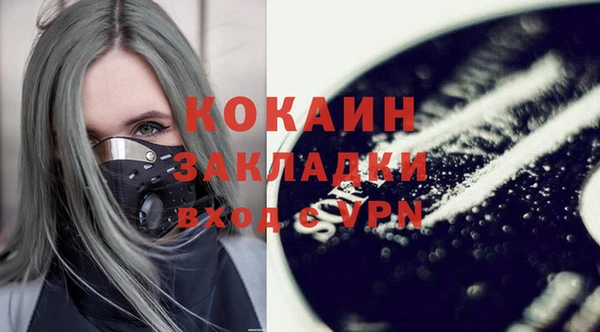прущие грибы Нефтекумск