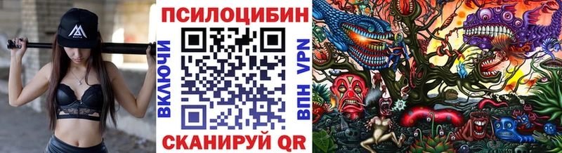 хочу   Майкоп  блэк спрут маркетплейс  Галлюциногенные грибы Cubensis 